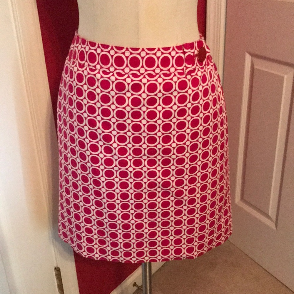 Ann Taylor skirt